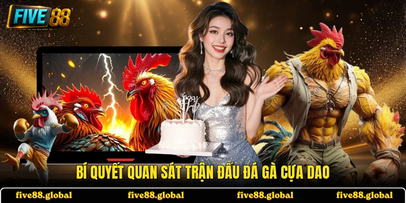 Bí quyết quan sát trận đấu đá gà cựa dao