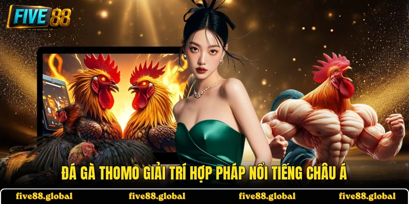 Đá gà Thomo giải trí hợp pháp nổi tiếng châu Á