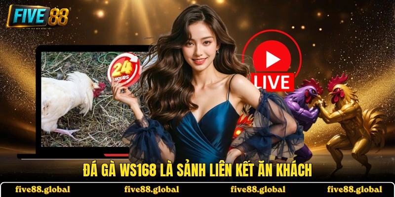 Đá gà WS168 là sảnh liên kết ăn khách