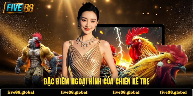 Đặc điểm ngoại hình của chiến kê tre