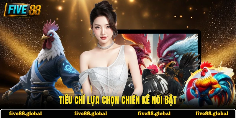 Tiêu chí lựa chọn chiến kê nổi bật